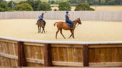 Equestrian Barns and Buildings