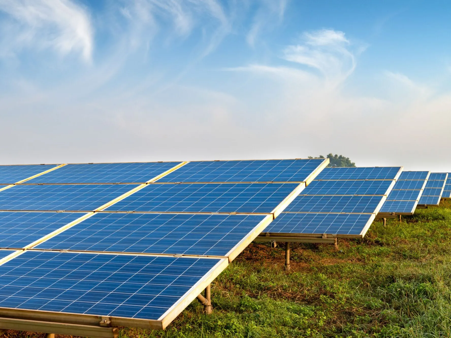 Solar Farm Panels